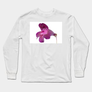 penstemon pensham plum jerkum beardtongue Long Sleeve T-Shirt